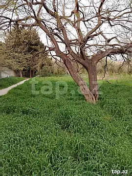 Satılır 2 otaqlı həyət evi 60 m² — Bakı 2 otaq 60.00 m²