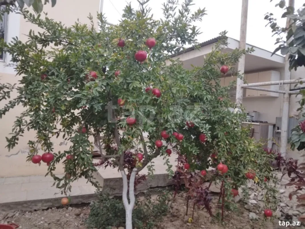 Satılır 4 otaqlı həyət evi