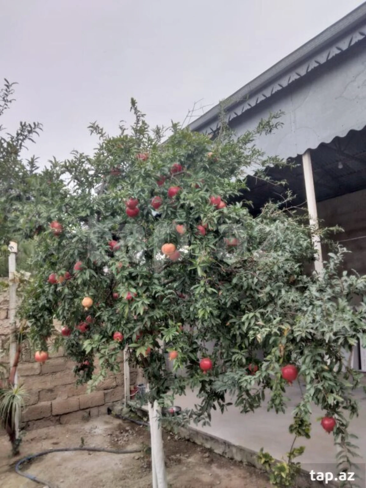 Satılır 4 otaqlı həyət evi