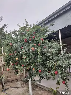 Satılır 4 otaqlı həyət evi