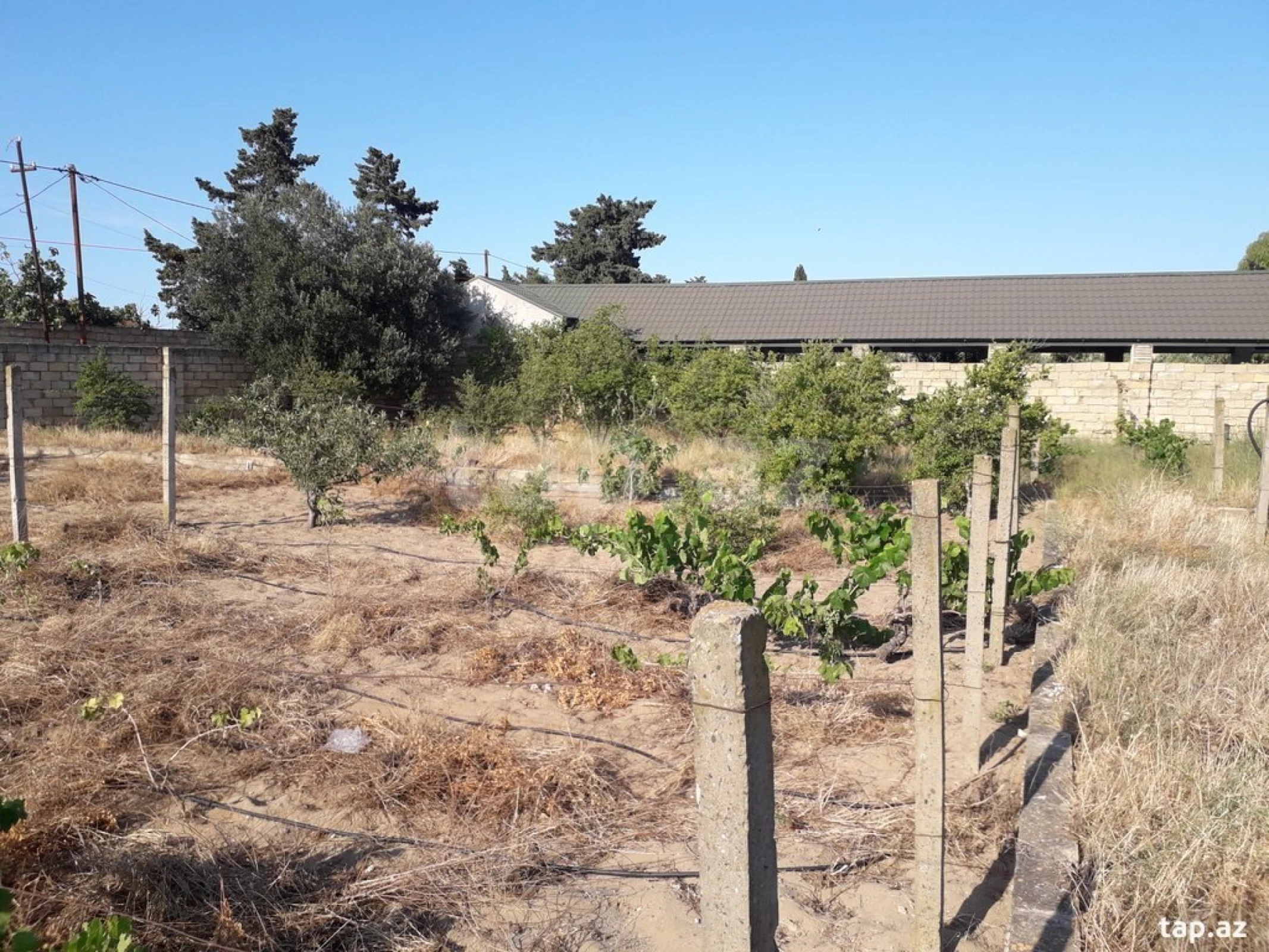 Satılır torpaq sahəsi