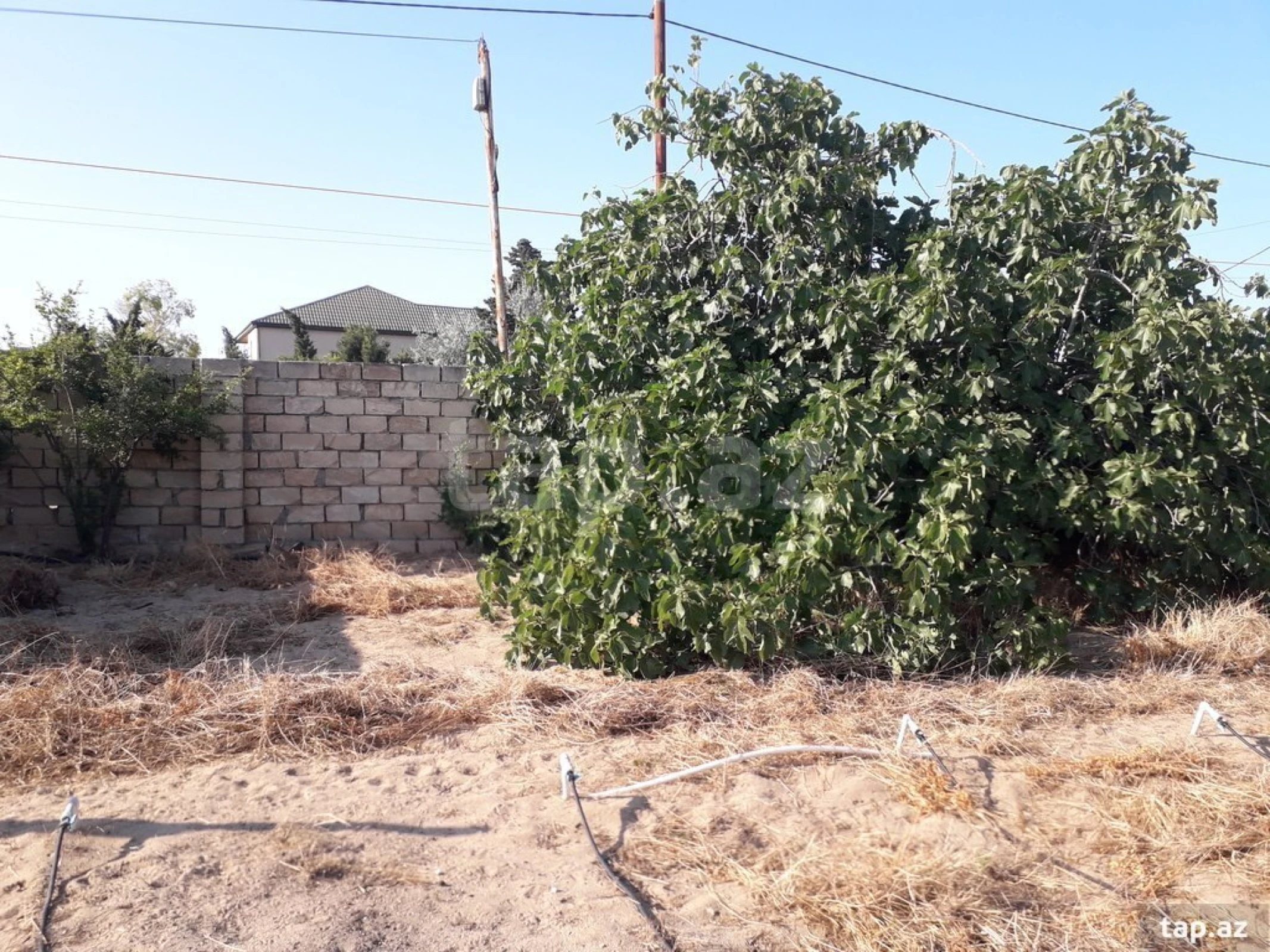 Satılır torpaq sahəsi