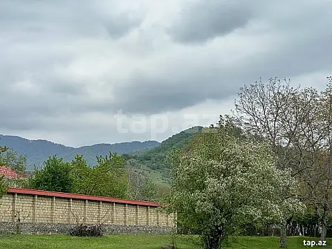Satılır torpaq sahəsi — Qəbələ