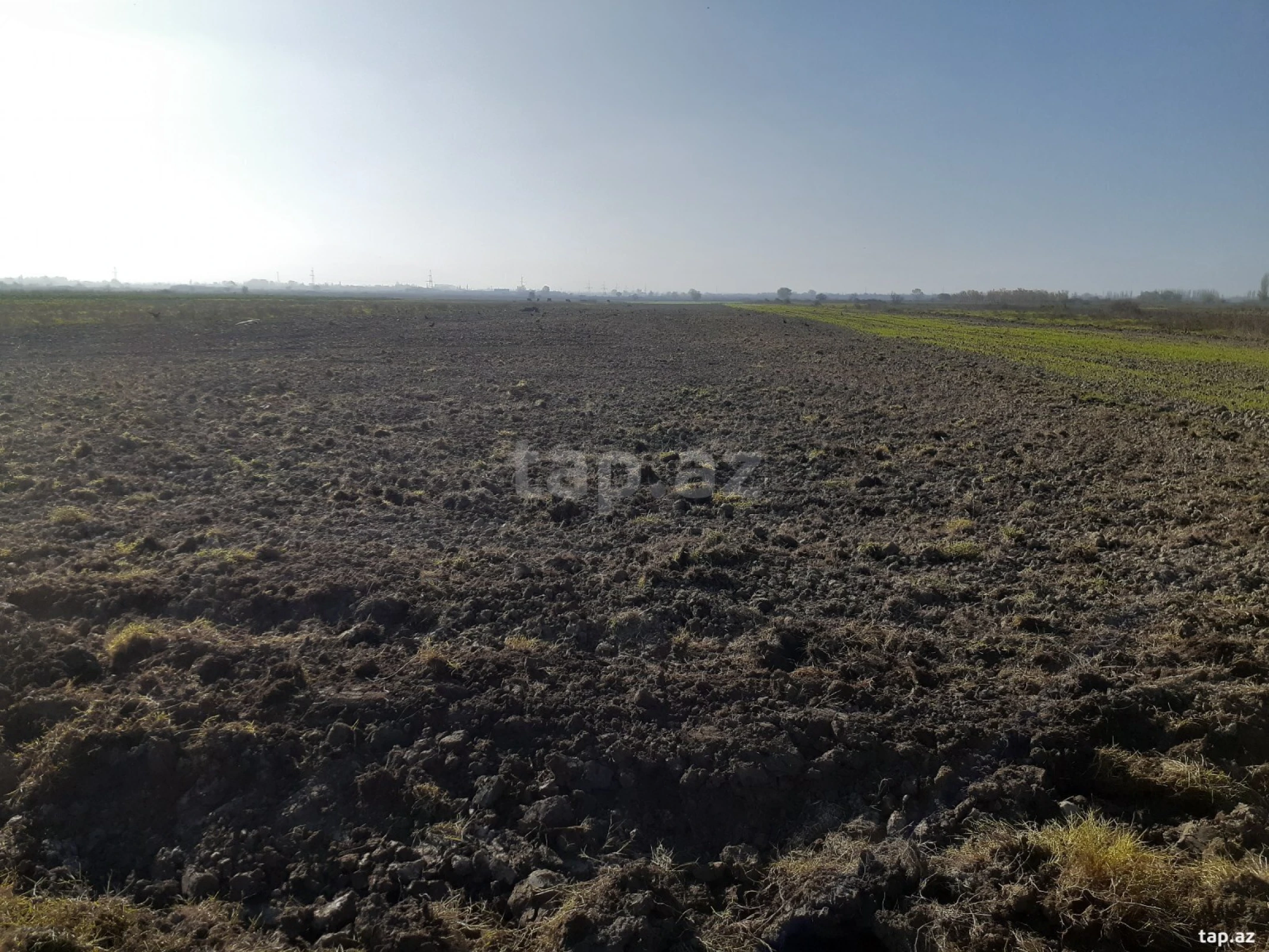 Satılır torpaq sahəsi