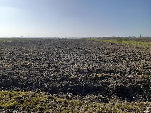 Satılır torpaq sahəsi — Xaçmaz