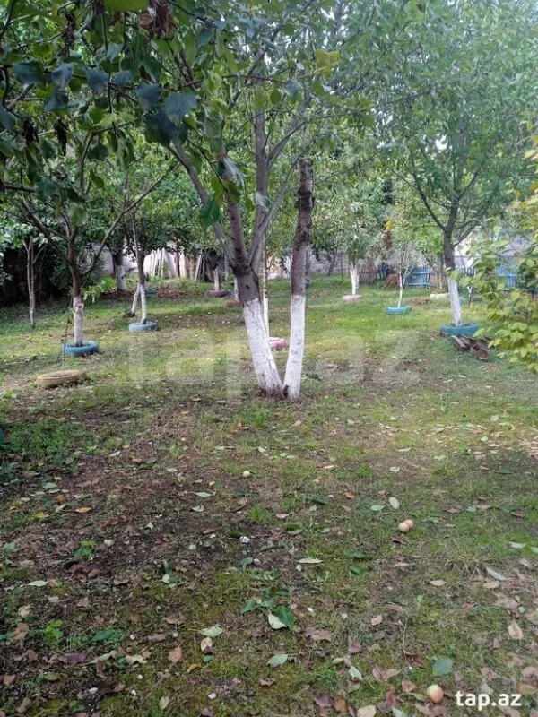 Satılır 4 otaqlı həyət evi