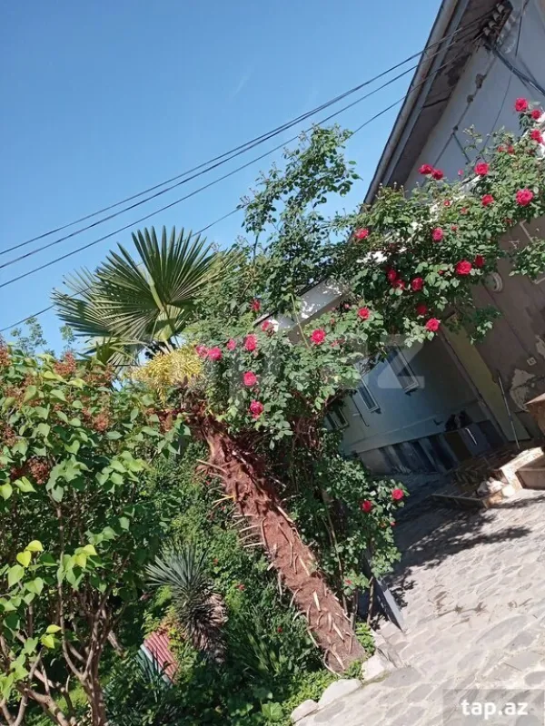 Satılır 4 otaqlı həyət evi