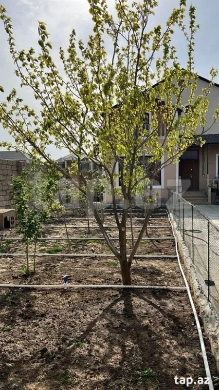 Satılır 4 otaqlı həyət evi