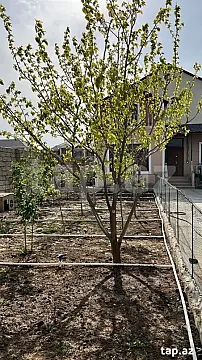 Satılır 4 otaqlı həyət evi