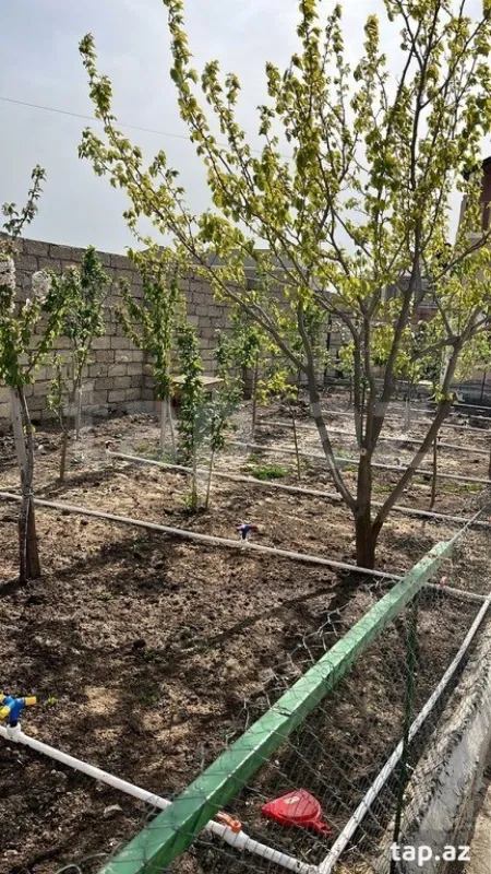 Satılır 4 otaqlı həyət evi