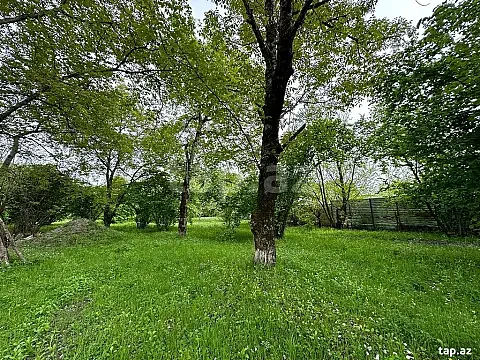 Satılır torpaq sahəsi — Qəbələ