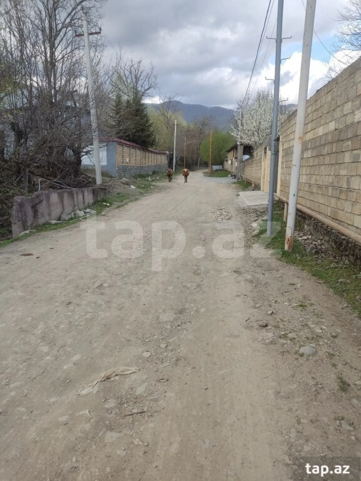 Satılır torpaq sahəsi