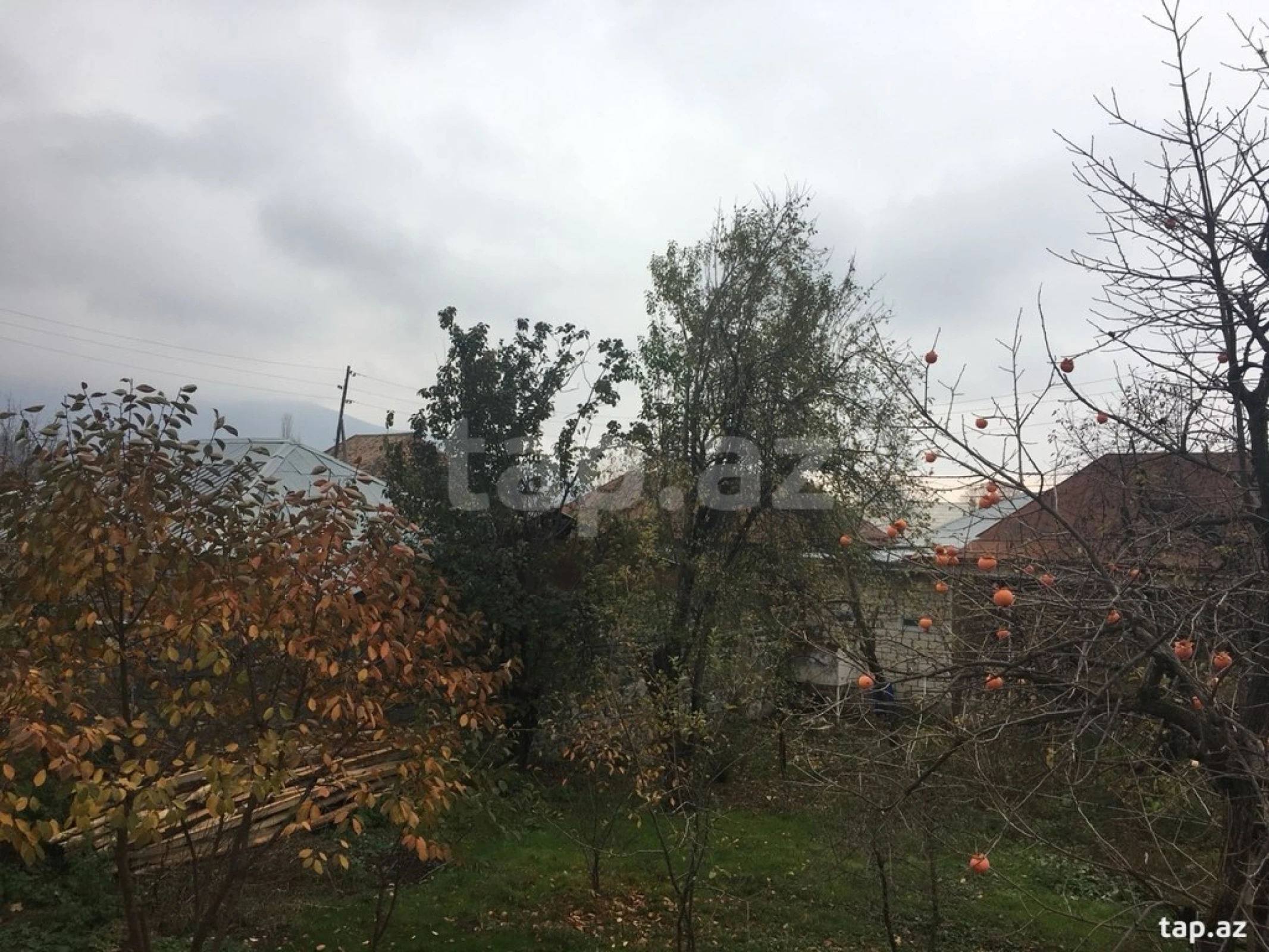 Kirayə verilir 5 otaqlı həyət evi