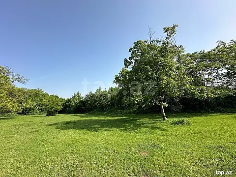 Satılır torpaq sahəsi — Qəbələ