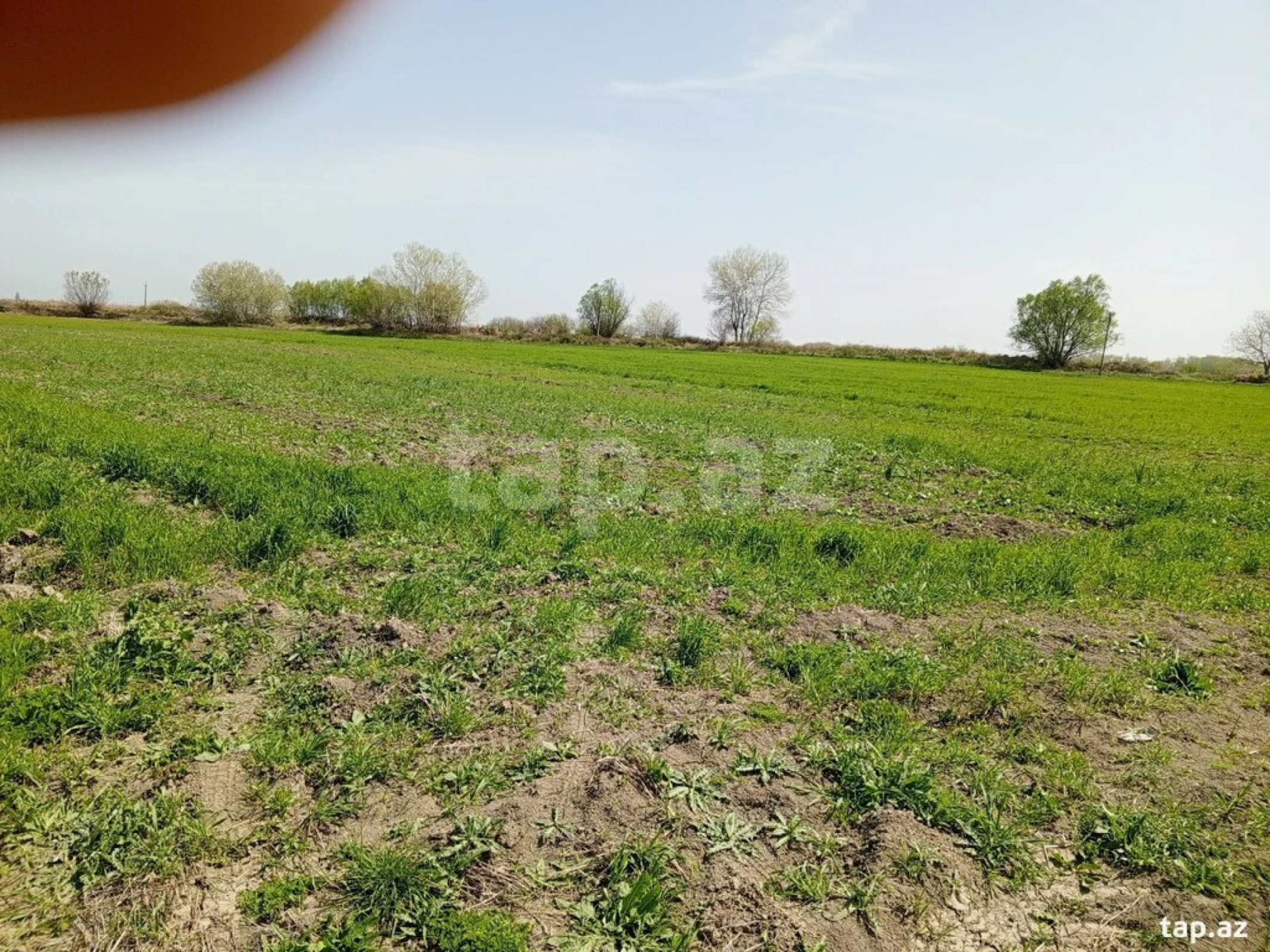 Satılır torpaq sahəsi