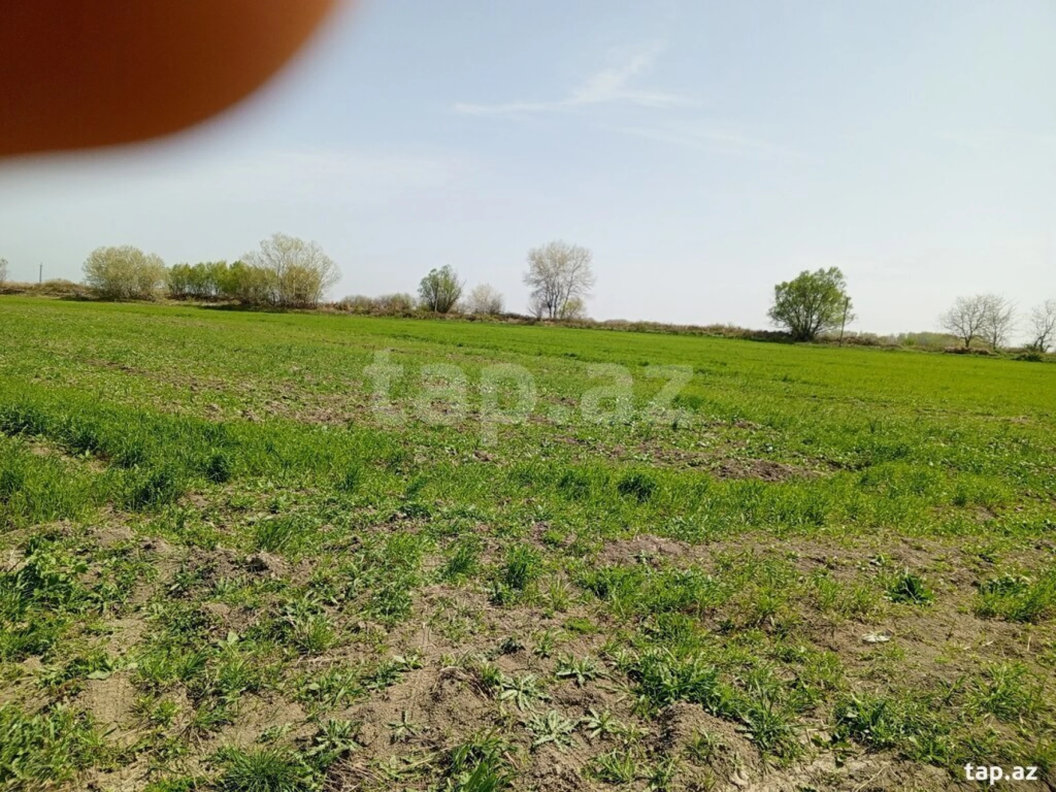 Satılır torpaq sahəsi
