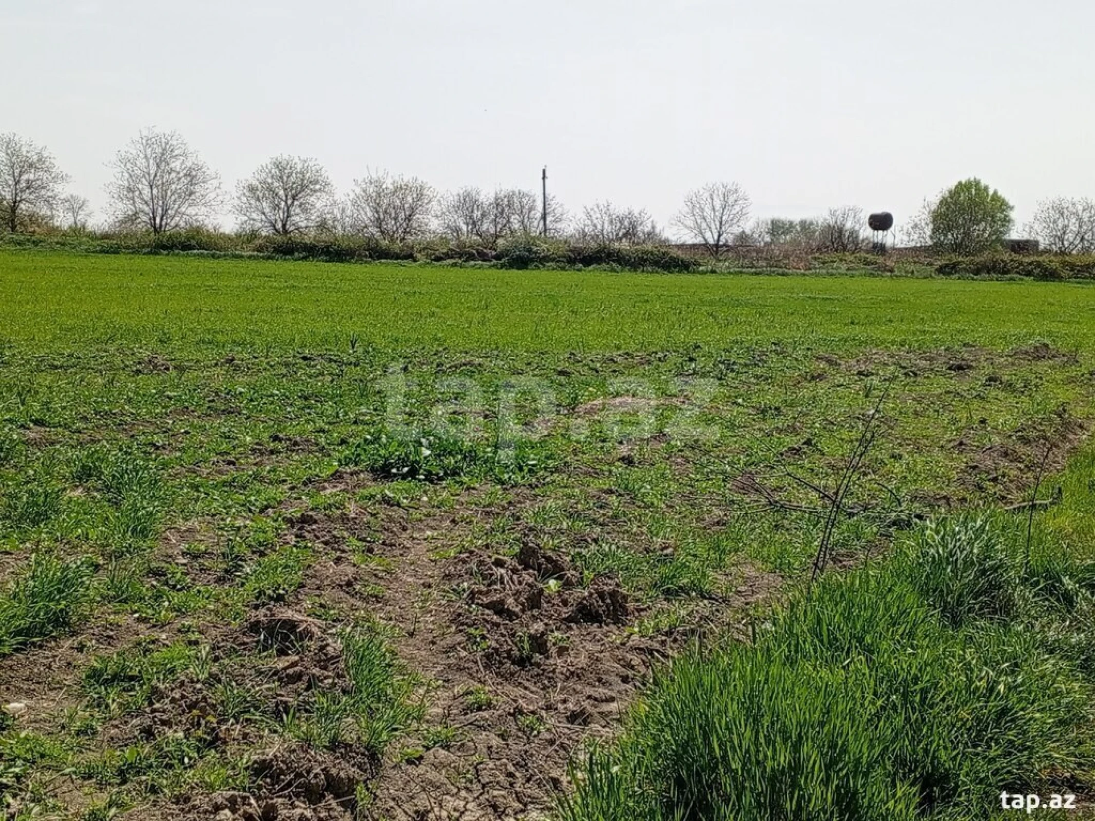 Satılır torpaq sahəsi