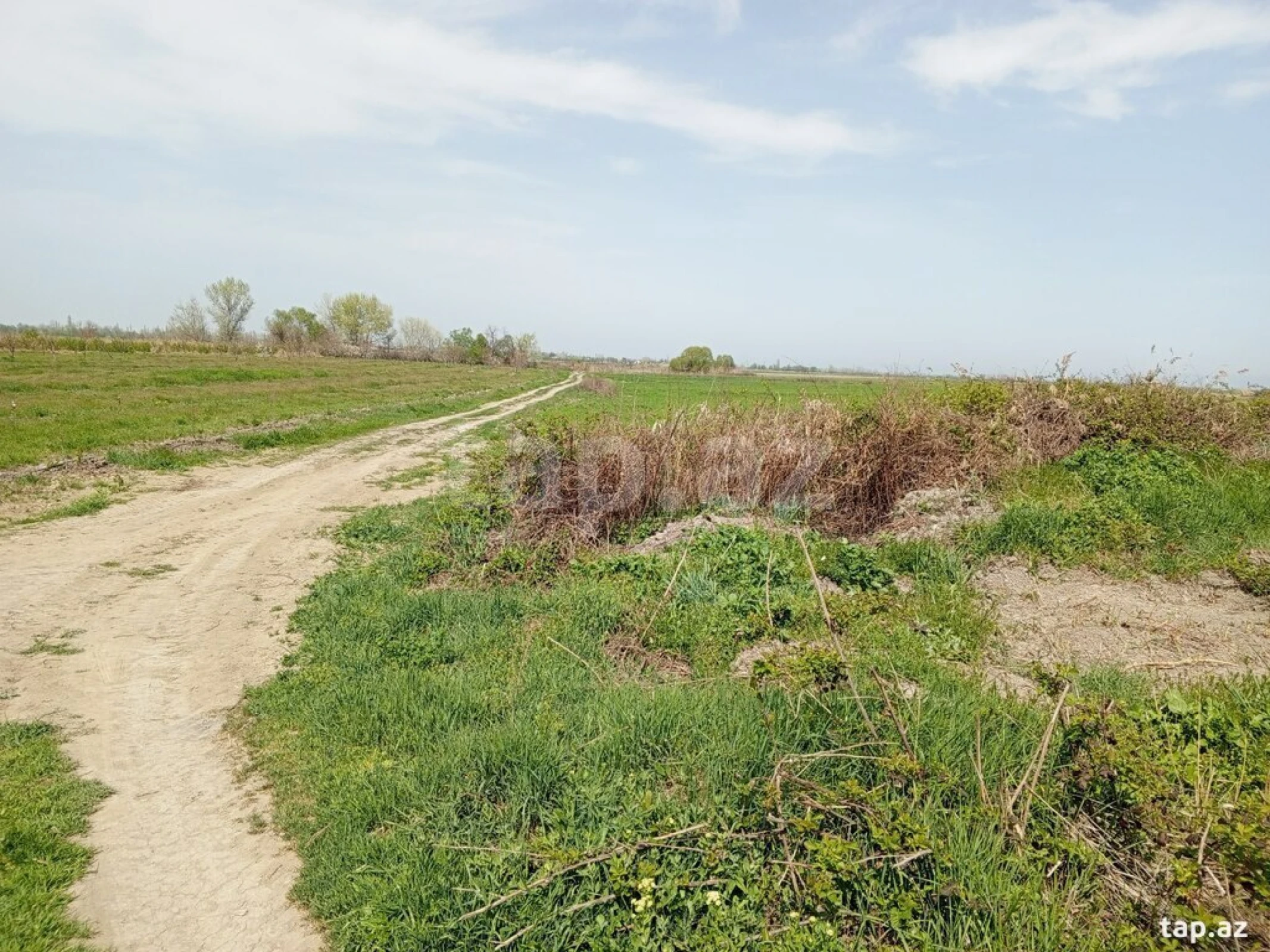 Satılır torpaq sahəsi