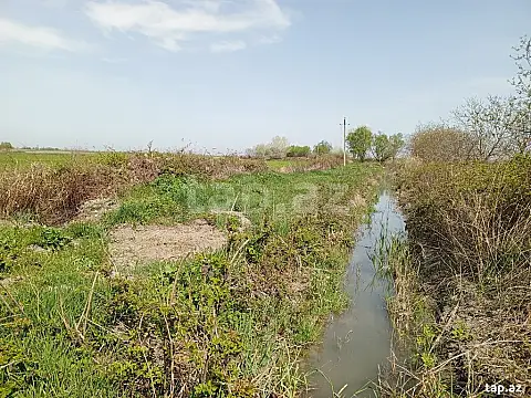 Satılır torpaq sahəsi — Xaçmaz
