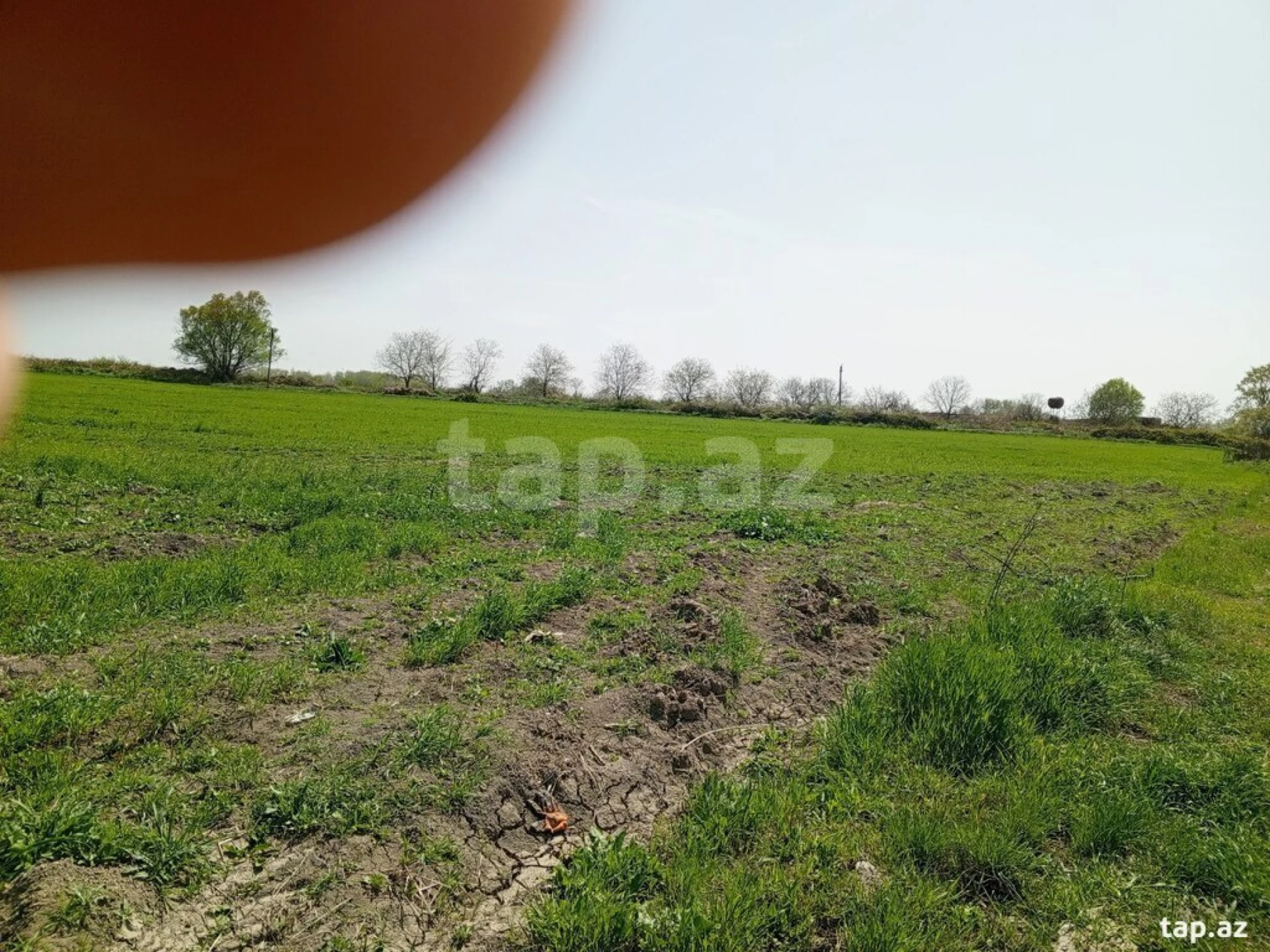 Satılır torpaq sahəsi