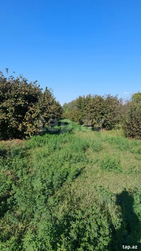 Satılır torpaq sahəsi