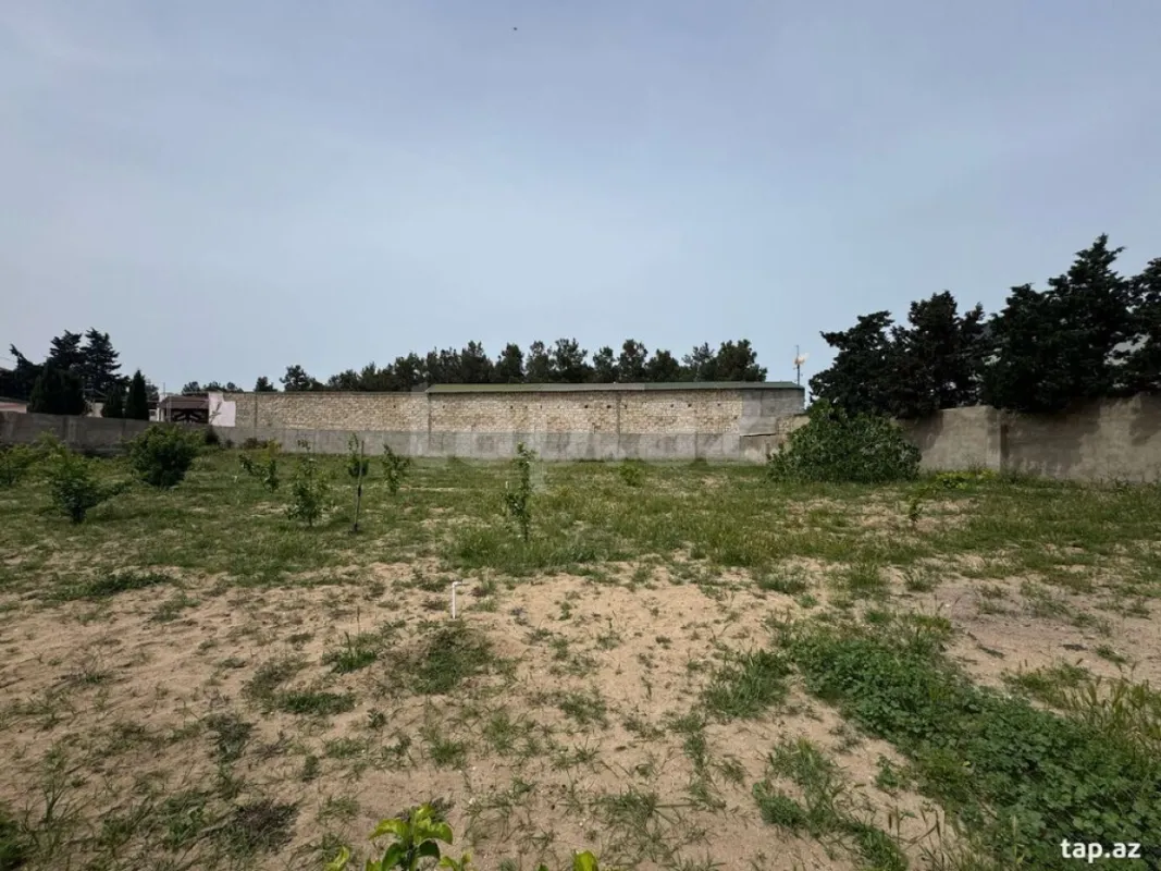 Satılır torpaq sahəsi