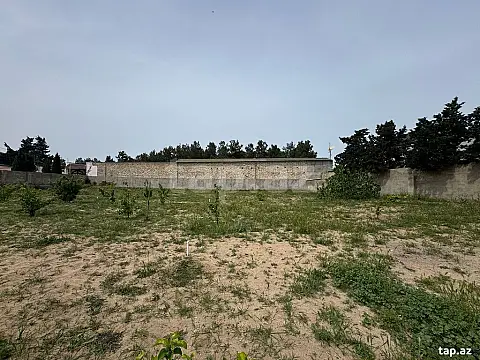 Satılır torpaq sahəsi