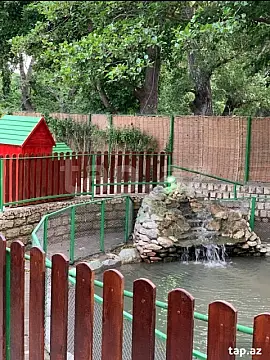 Kirayə verilir 4 otaqlı həyət evi — Xaçmaz 4 otaq