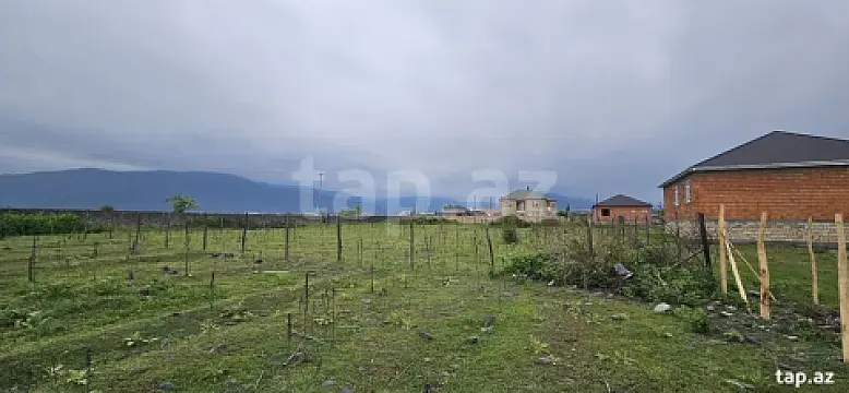 Satılır torpaq sahəsi — Zaqatala
