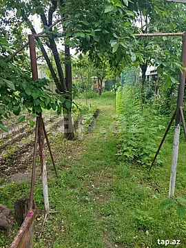 Satılır torpaq sahəsi — Göyçay