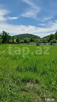 Satılır torpaq sahəsi — Qəbələ