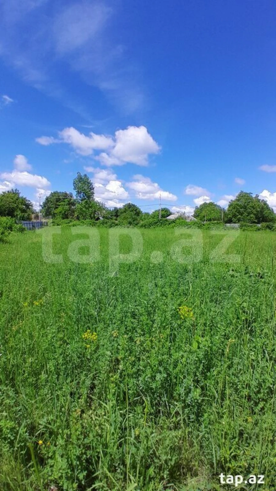 Satılır torpaq sahəsi