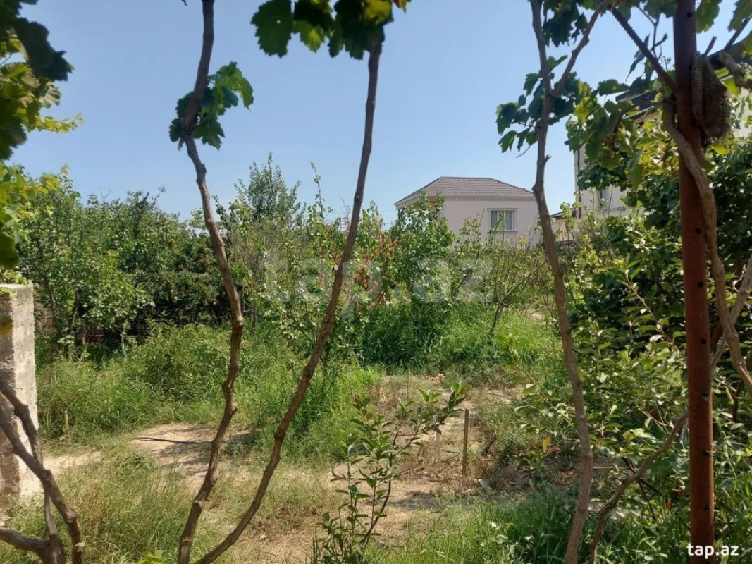 Kirayə verilir 3 otaqlı həyət evi