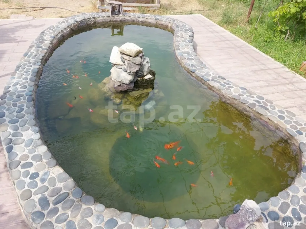 Kirayə verilir 3 otaqlı həyət evi