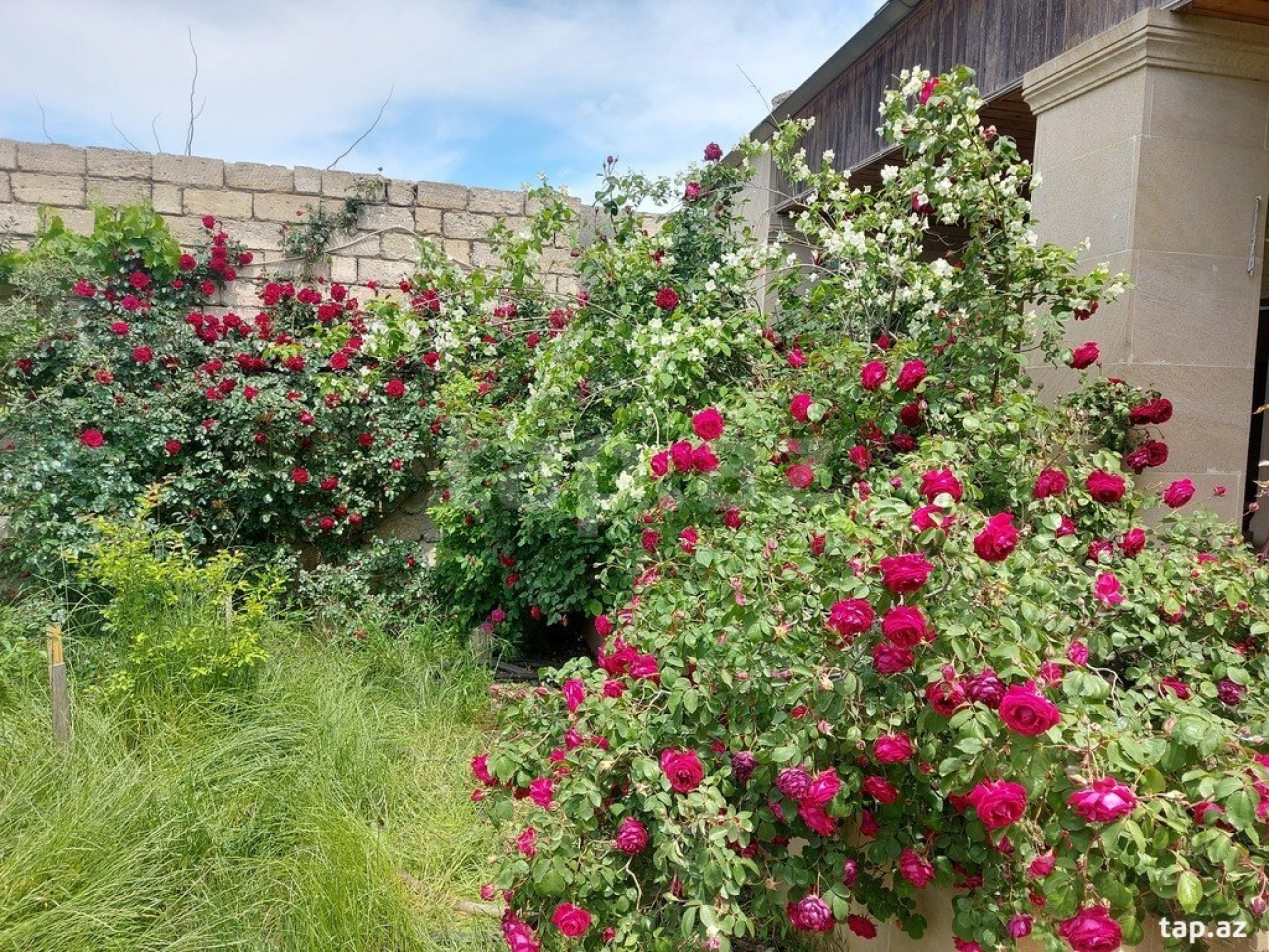 Kirayə verilir 3 otaqlı həyət evi