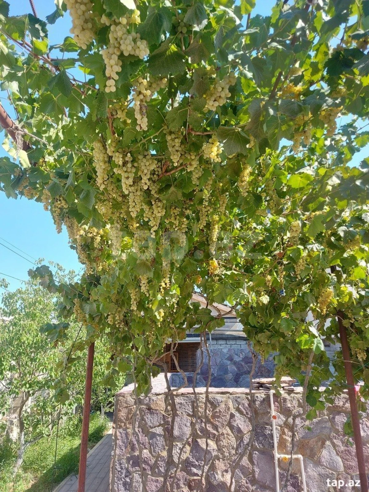 Kirayə verilir 3 otaqlı həyət evi