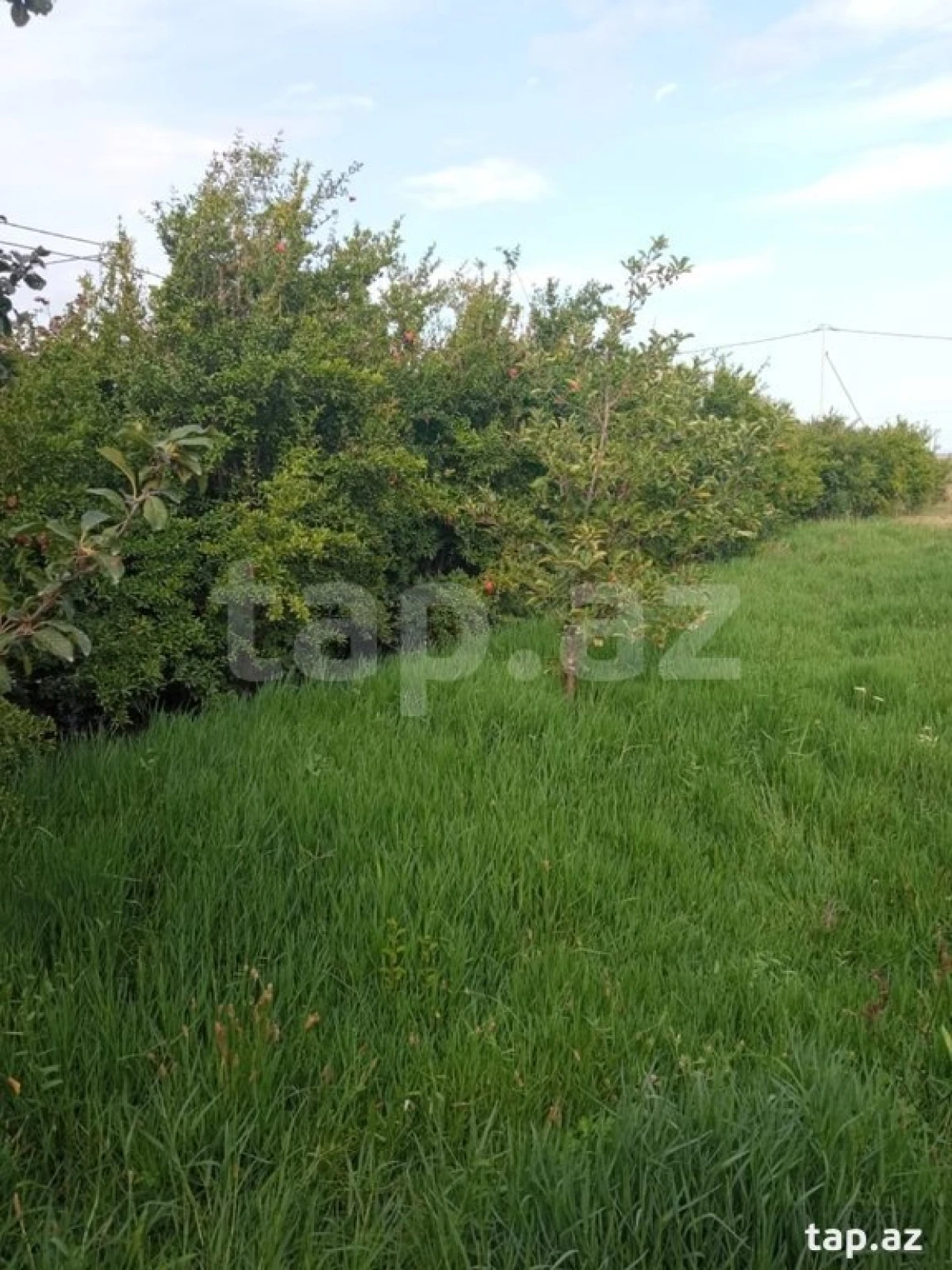 Satılır torpaq sahəsi