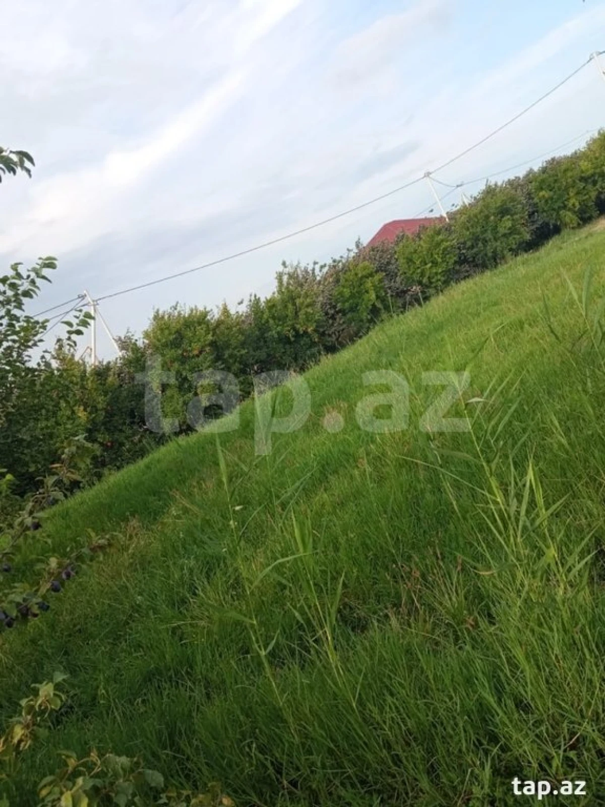 Satılır torpaq sahəsi