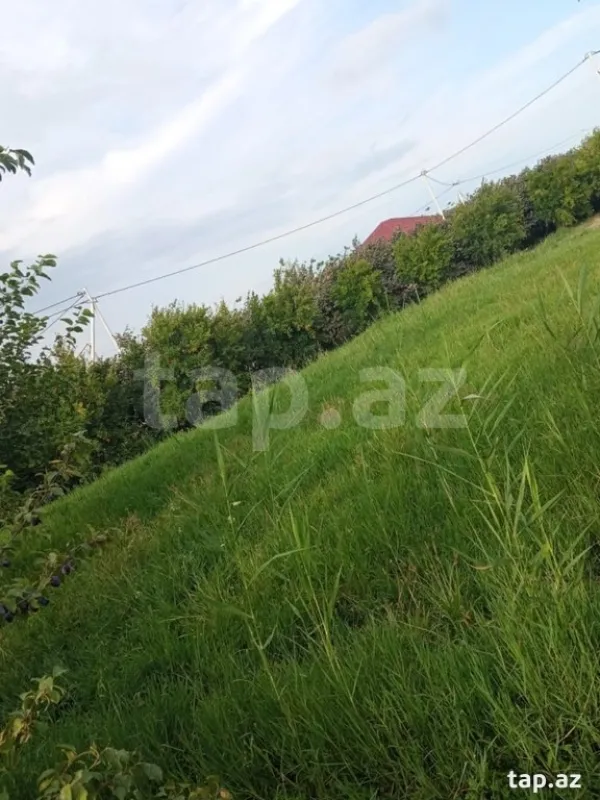 Satılır torpaq sahəsi