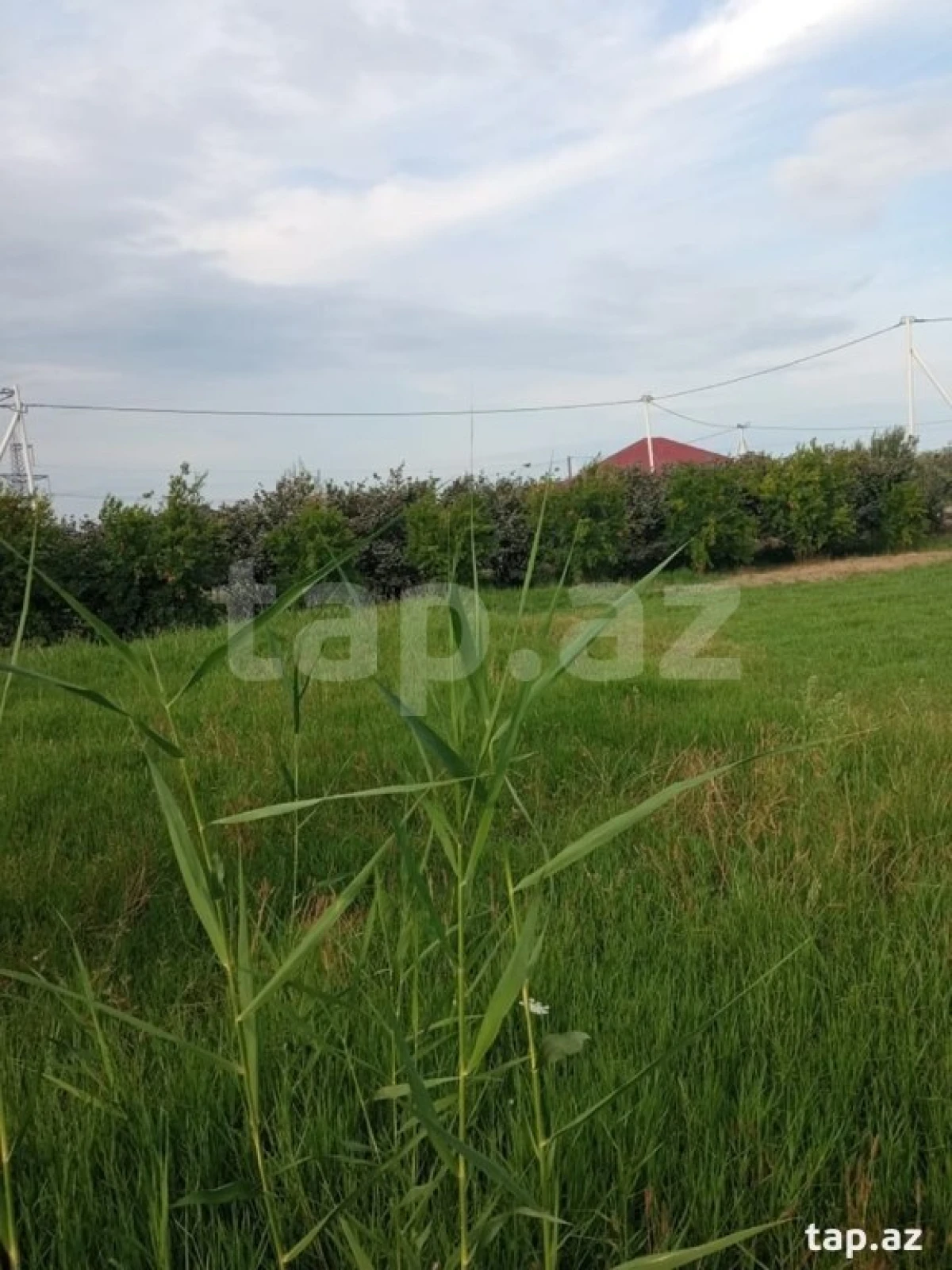 Satılır torpaq sahəsi