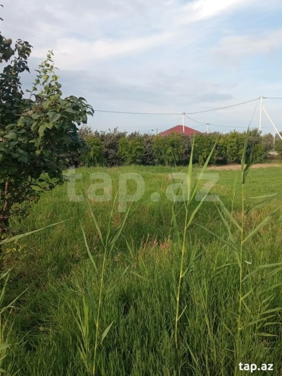 Satılır torpaq sahəsi