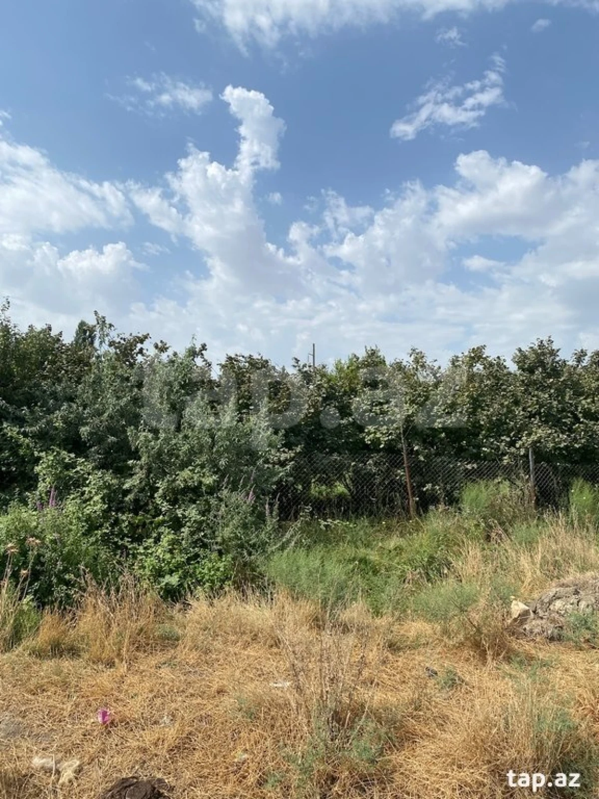 Satılır torpaq sahəsi