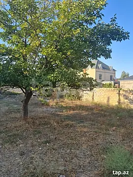 Satılır torpaq sahəsi — Sumqayıt, Novxanı