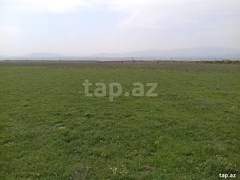 Satılır torpaq sahəsi — Şabran