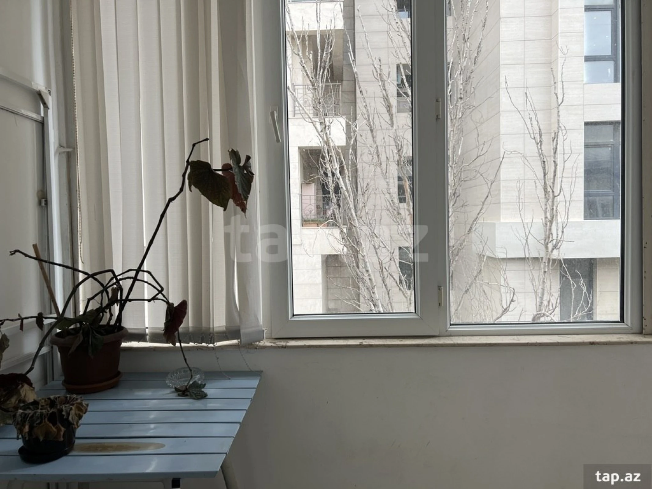 Kirayə verilir 2 otaqlı mənzil 65 m²