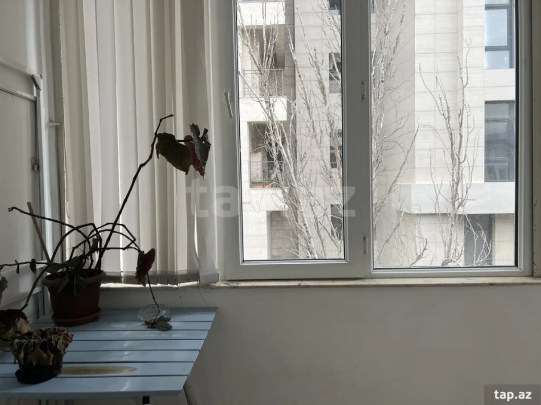 Kirayə verilir 2 otaqlı mənzil 65 m²