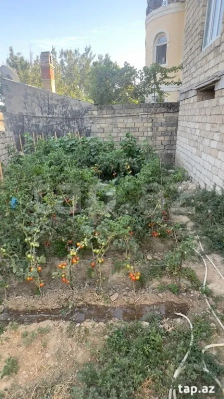 Satılır 4 otaqlı həyət evi