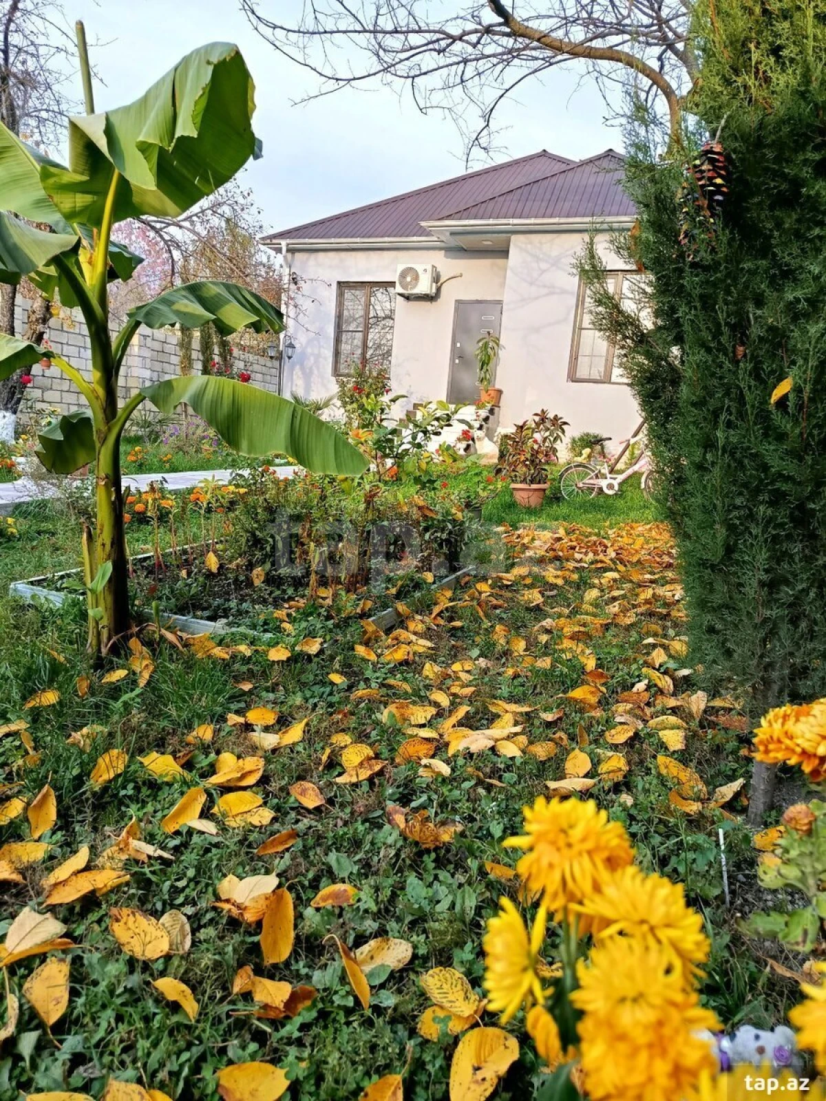 Kirayə verilir 3 otaqlı həyət evi