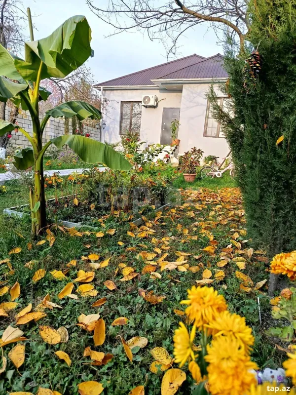 Kirayə verilir 3 otaqlı həyət evi