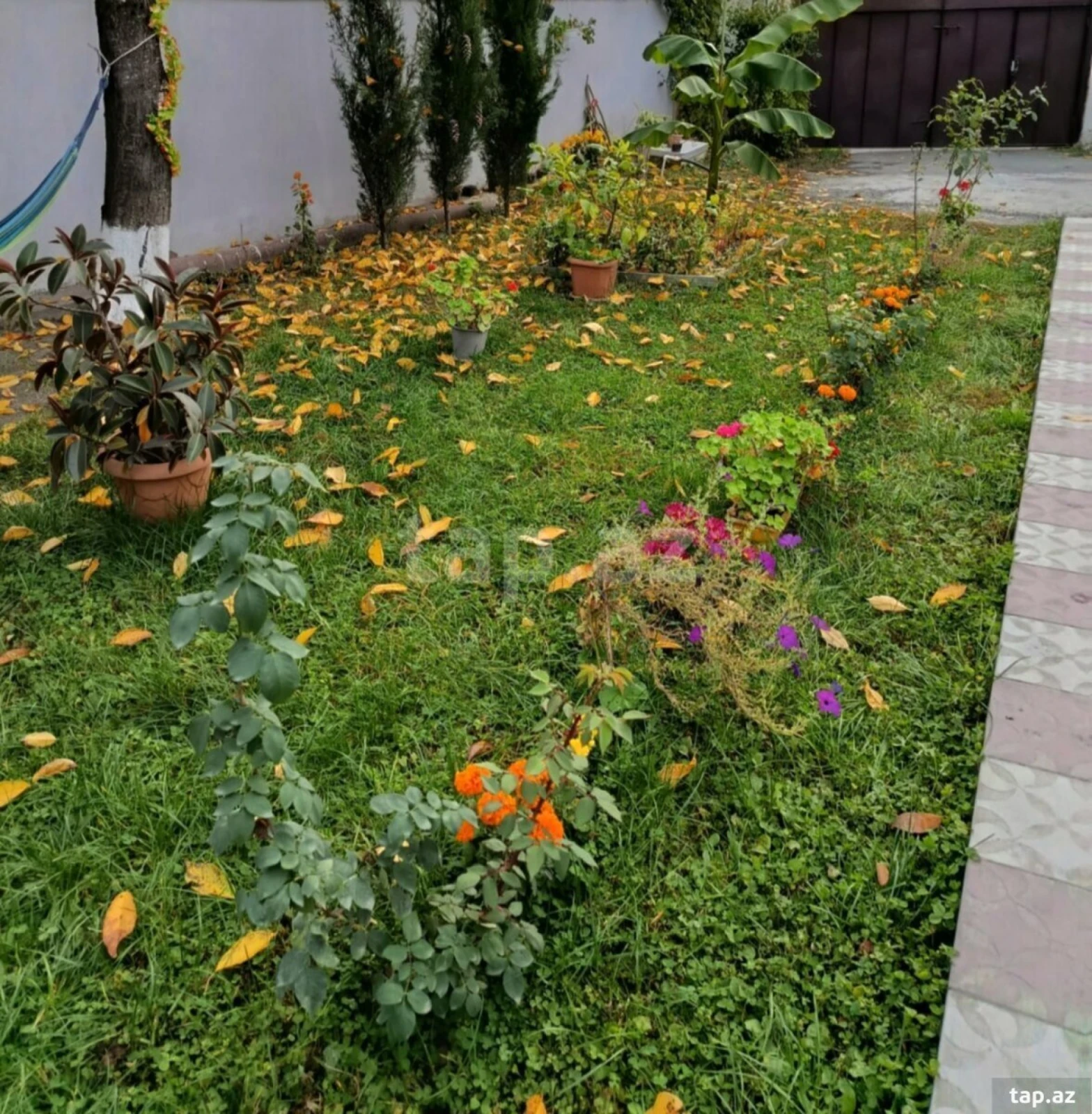 Kirayə verilir 3 otaqlı həyət evi